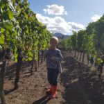 IMG-20191005-WA0039