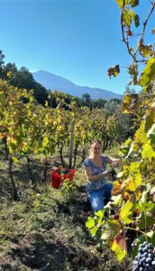 ETNA ROSSO2020_11